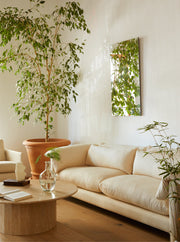 طاولة قهوة ASHBY Coffee Table